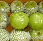 Guava